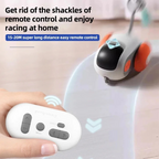 Smart Cat Toy